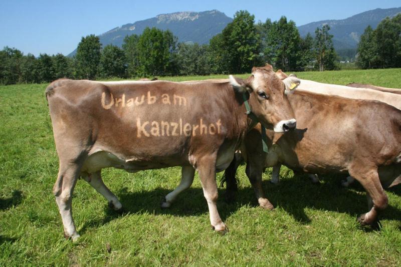 Kanzlerhof Bad Mitterndorf Exterior photo